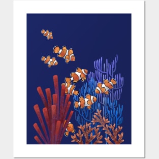 Clown Fish Posters and Art